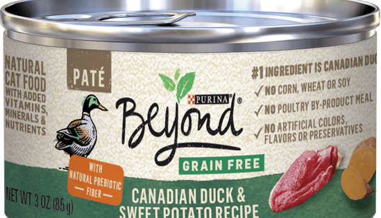 Purina beyond grain free wet cat food reviews online